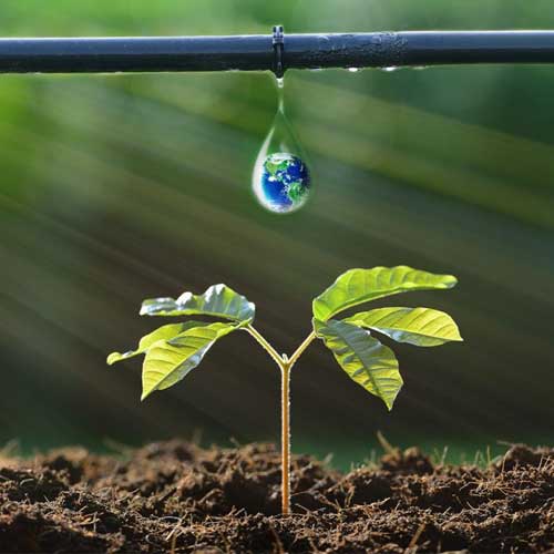 Drip Irrigation