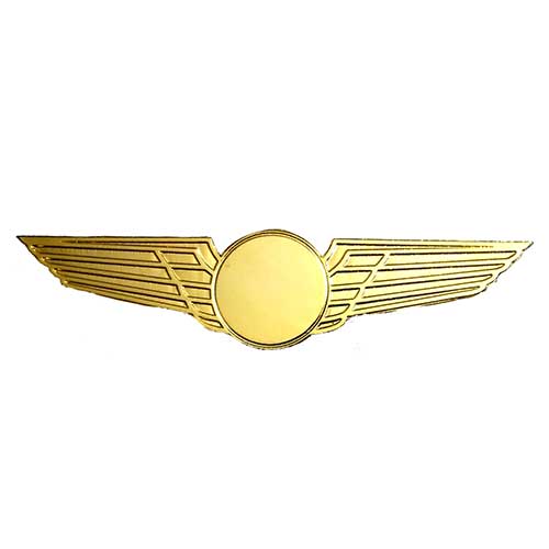 Pilot Pins