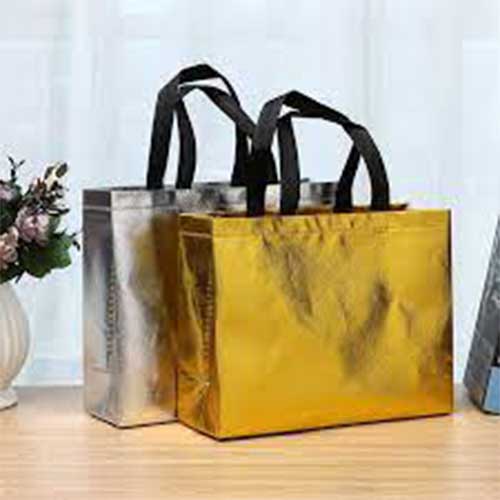 Non Woven Printed Bags