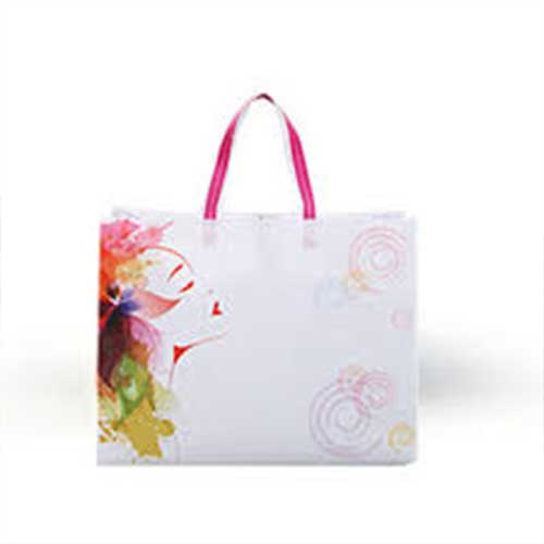 Non Woven Printed Bags