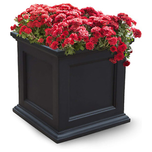 Trough Planter