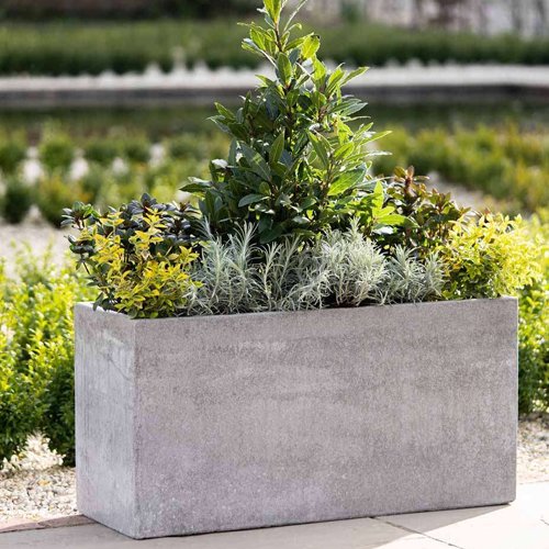 Trough Planter