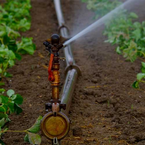 Agricultural Irrigation System