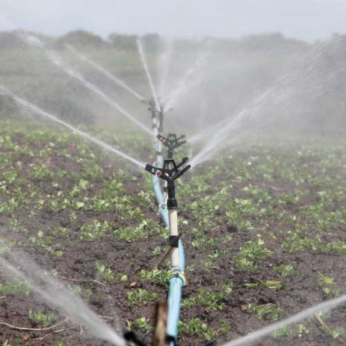Agricultural Irrigation System