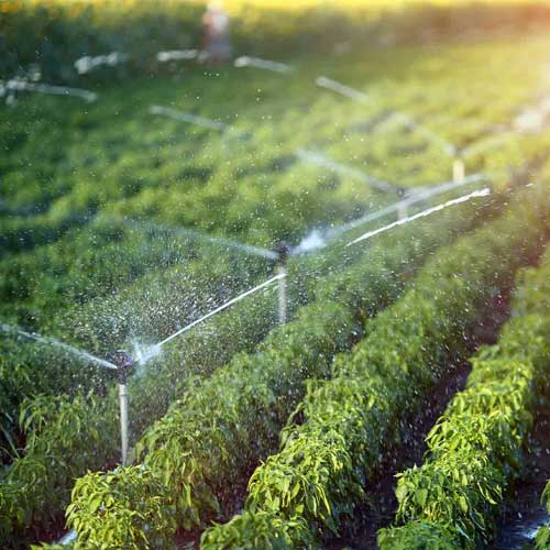 Agricultural Irrigation System