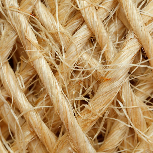 Hemp Fibers