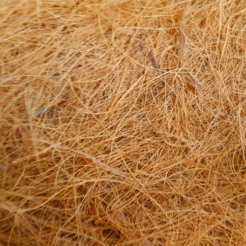 Coir Fiber