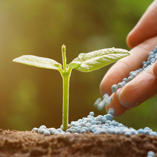 Chemical Fertilizers