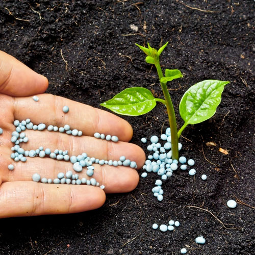 Chemical Fertilizers