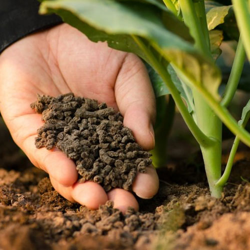 Chemical Fertilizers