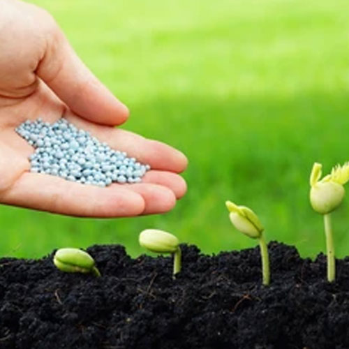 Chemical Fertilizers
