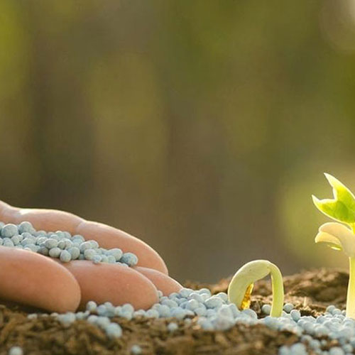 Chemical Fertilizers