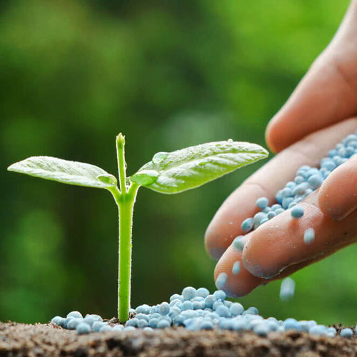 Chemical Fertilizers