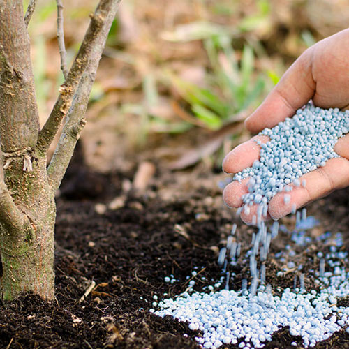 Chemical Fertilizers