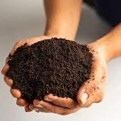 Vermicompost