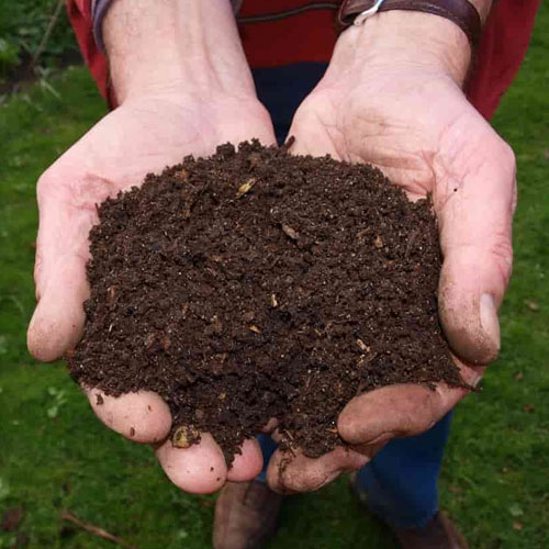Vermicompost
