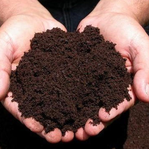 Vermicompost