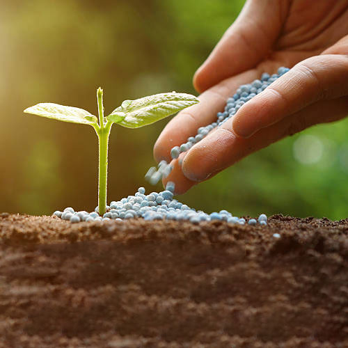 Agricultural Fertilizers