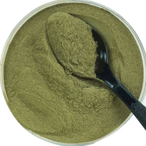 Seaweed Extract Powder