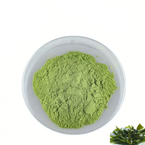 Seaweed Extract Powder