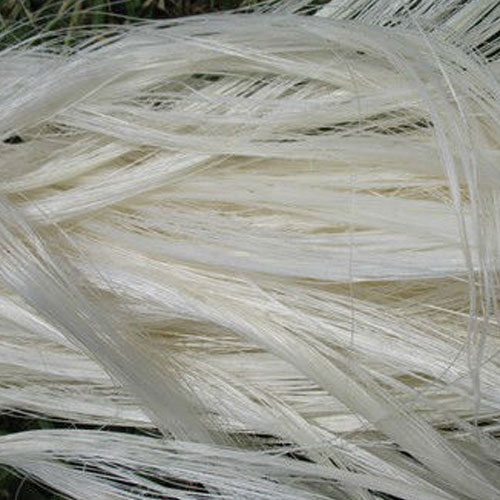 Sisal Fibre