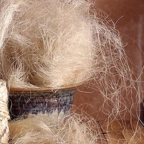 Sisal Fibre