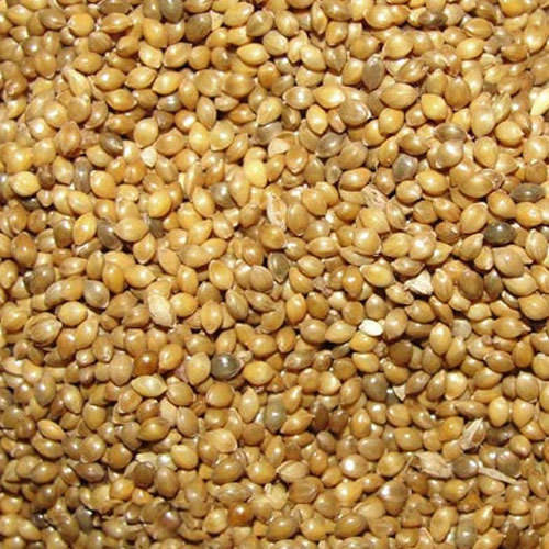Millet Seeds