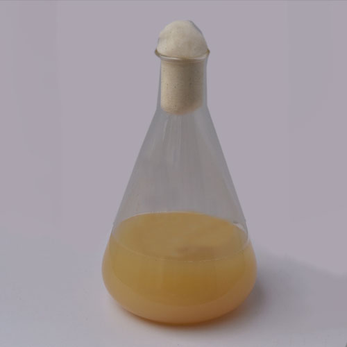 Potash Mobilizing Bacteria