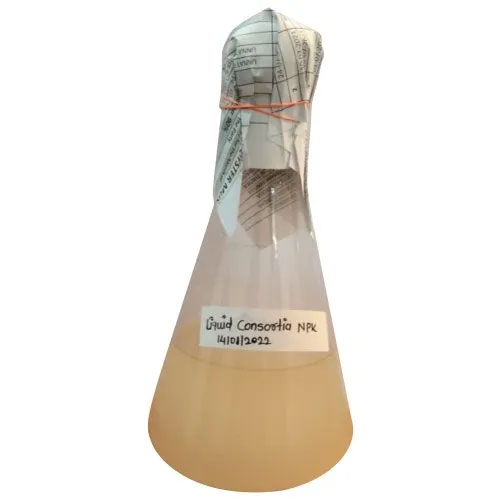 Potash Mobilizing Bacteria