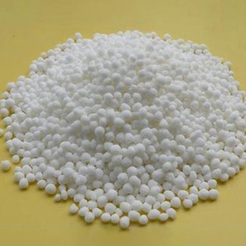 Potash Mobilizing Bacteria