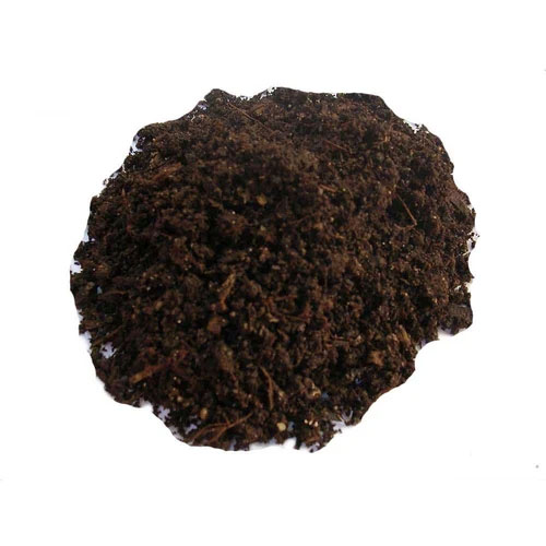 Rhizobium Biofertilizer