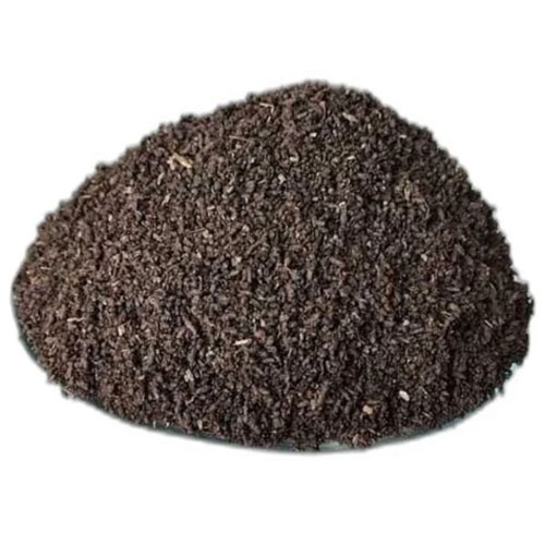Rhizobium Biofertilizer
