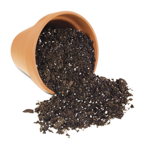Potting Soil