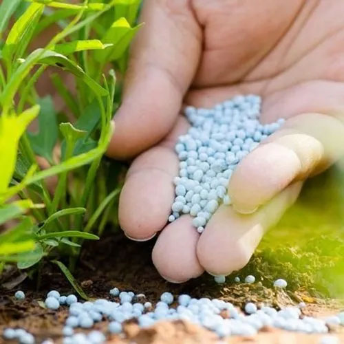 Chemical Fertilizer Granules