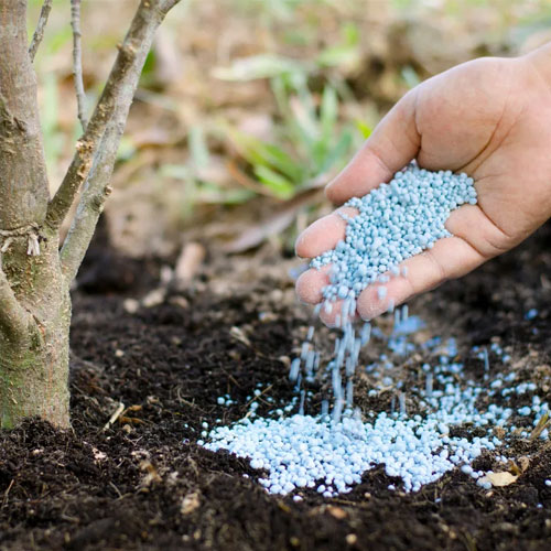 Chemical Fertilizer Granules