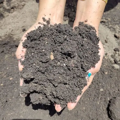 Vermi Compost Fertilizer