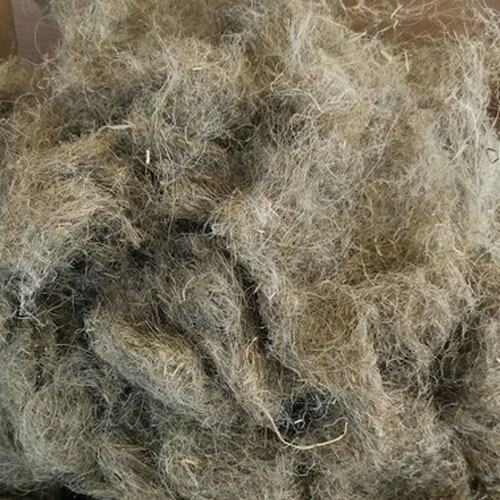 Flax Fiber