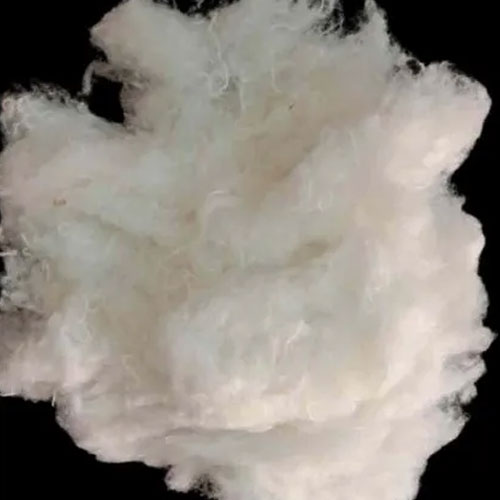 Recycled Cotton Fiber