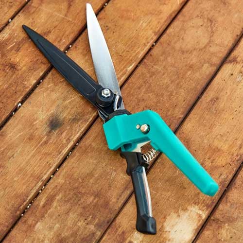 Grass Shears