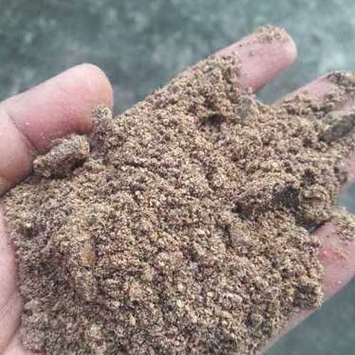 Palm Kernel Shell Powder