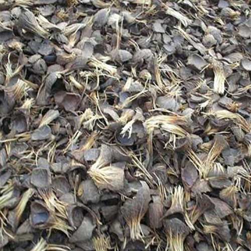Palm Kernel Shell Powder