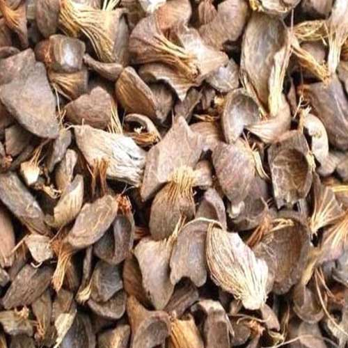 Palm Kernel Shell Powder