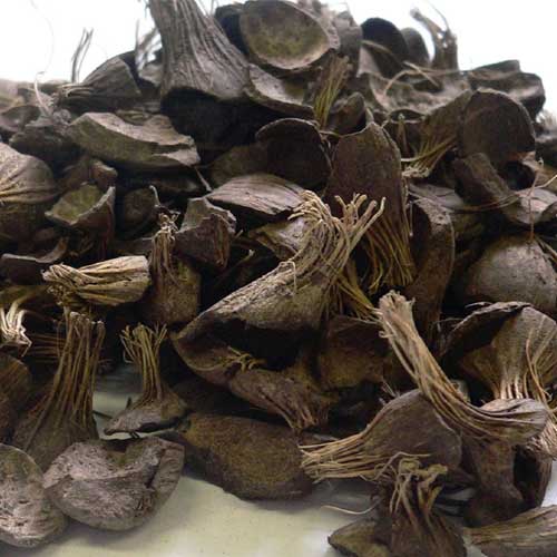 Palm Kernel Shell Powder