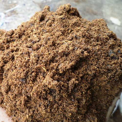 Palm Kernel Expeller Cake