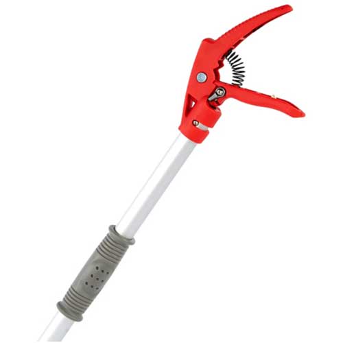 Long Reach Pruner