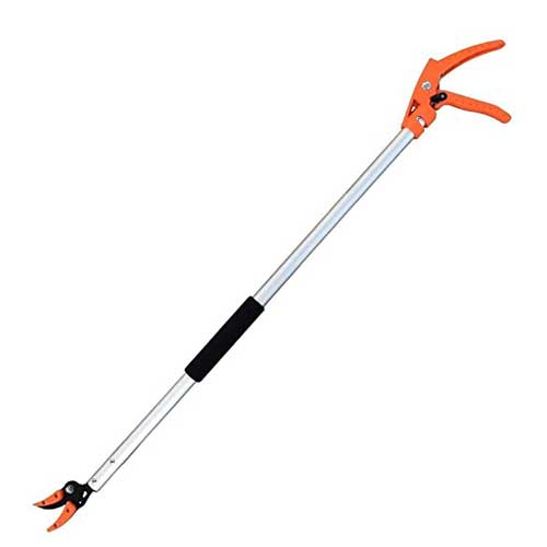 Long Reach Pruner