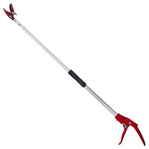 Long Reach Pruner