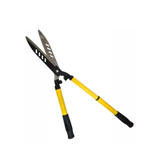 Long Reach Pruner