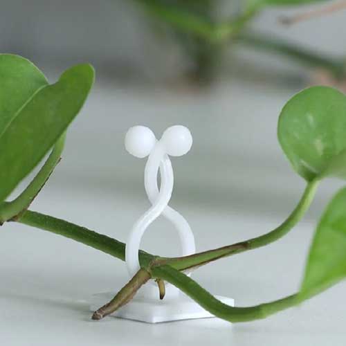Plant Clip