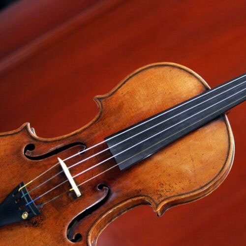 Violin